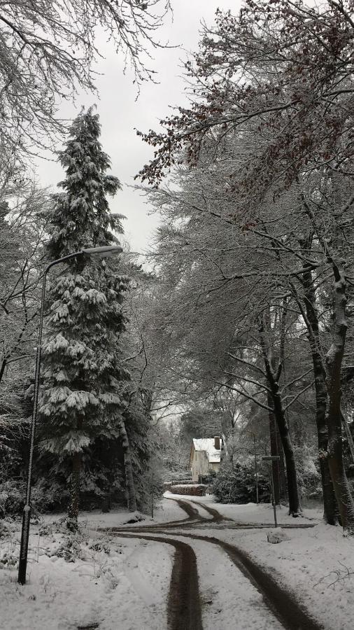 B&B In De Aap Gelogeerd Apeldoorn Kültér fotó