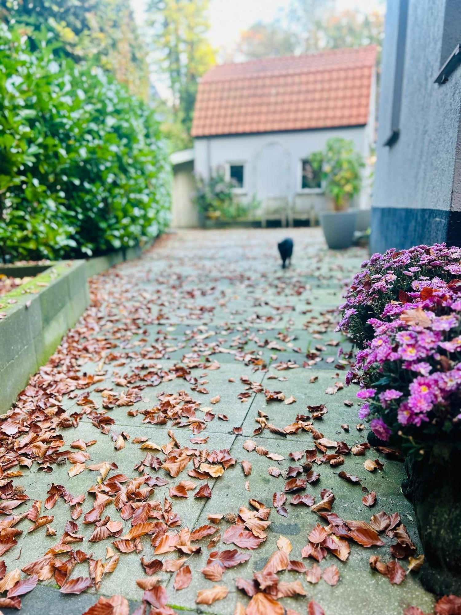 B&B In De Aap Gelogeerd Apeldoorn Kültér fotó